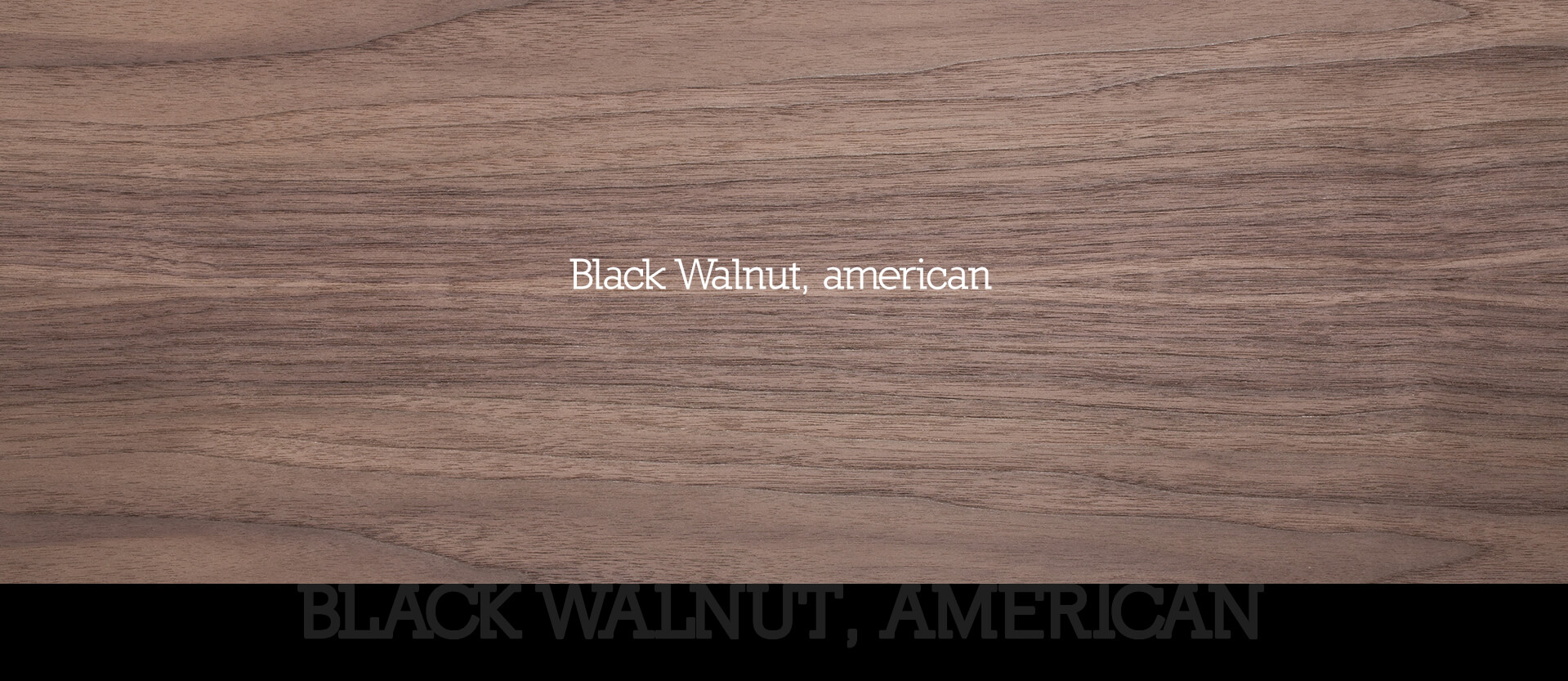 10 Black Walnut american